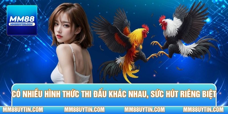 Có nhiều hình thức thi đấu khác nhau, có sức hút riêng biệt