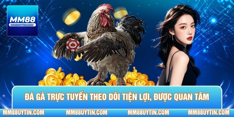 Đá gà trực tuyến theo dõi tiện lợi, ngày càng được quan tâm